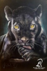 Černý panter