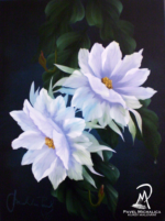kvetoucí cereus
