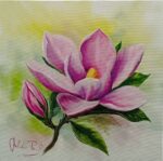 Magnolie